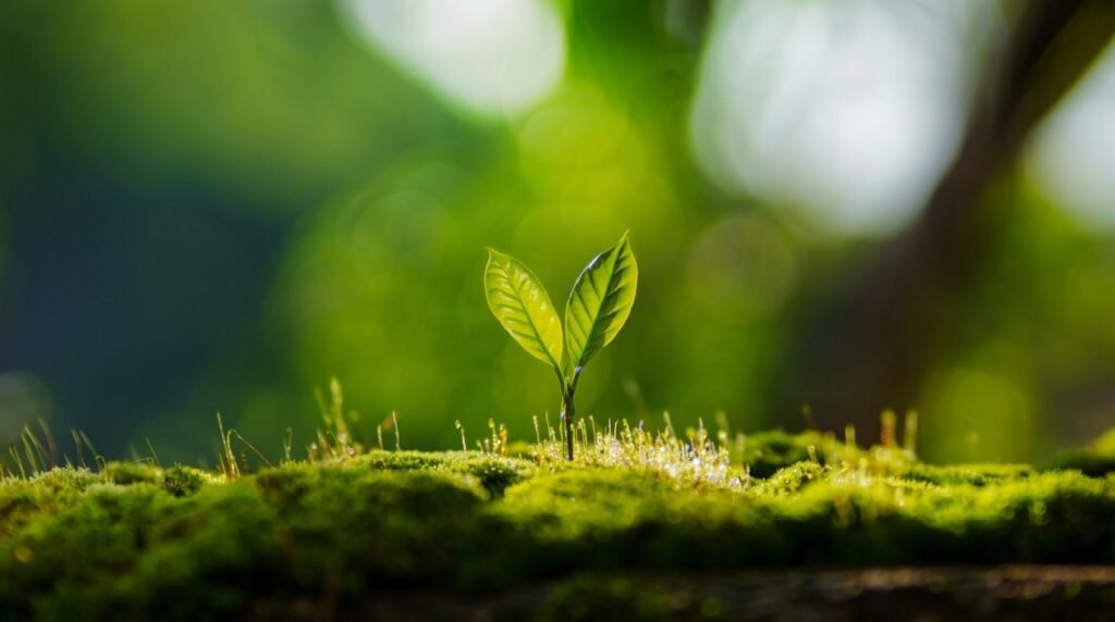 What Does Spiritual Growth in the Bible Actually Look Like? 5 Marks of a Maturing Disciple